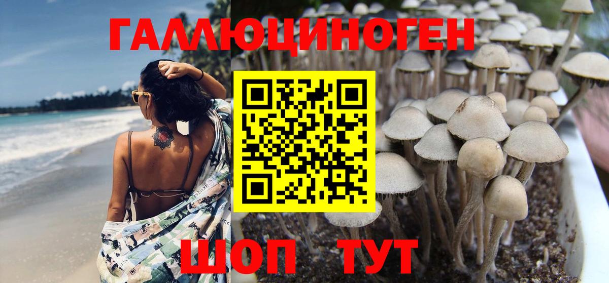 Галлюциногенные грибы Cubensis  Вход с VPN  Сибай 