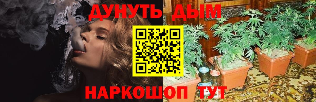 Канабис Ganja  Вход с VPN  Марихуана AK-47  Сибай 